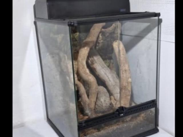 Glasterrarium Exoterra 45x45x60 - 1